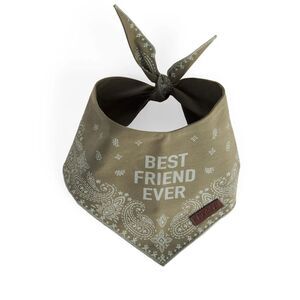 Reddy Bandana Style Pet Scarf "Best Friend Ever" - Olive